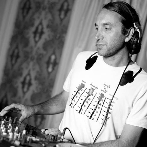 Purple Rabbit