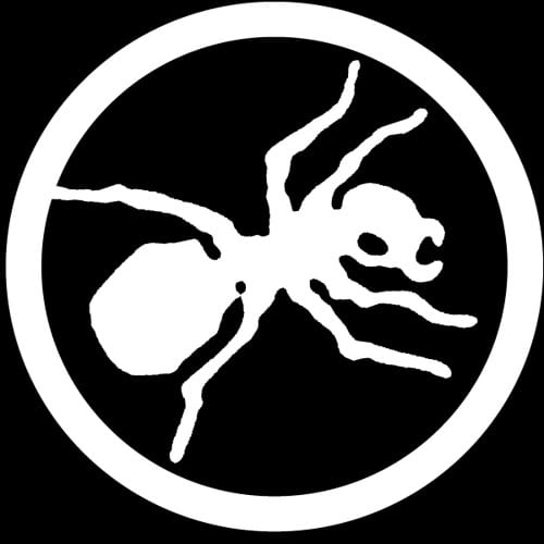 The Prodigy